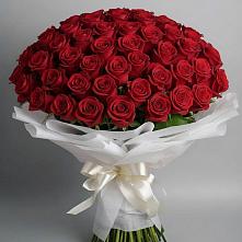 Букет 101 Красная роза Блэк Мэджик в Углегорске