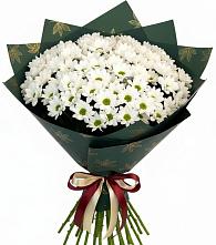 Букет цветов из:  Хризантемы #REPLACE_PRED# Углегорске