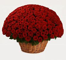 Премиум букет из: Розы #REPLACE_PRED# Углегорске